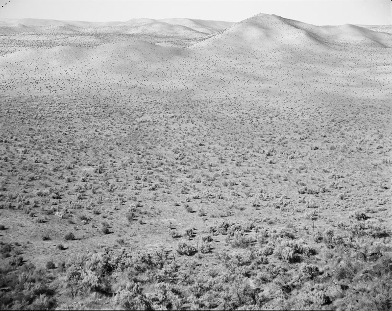 MarsAlQahiraVallis800